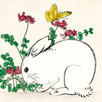 Bunny And Butterfly