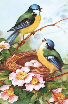 MINI CARD Bluetits