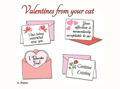 From The Cat