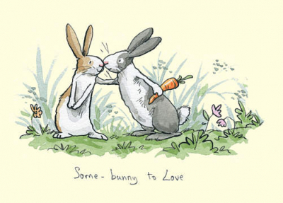 Some Bunny to Love