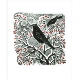Blackbird And Berries