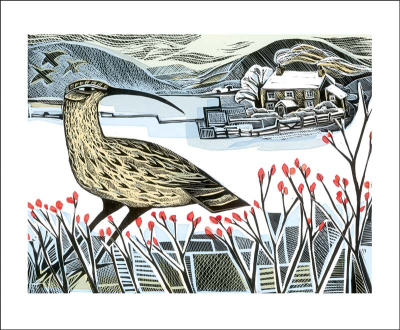 Curlew Christmas