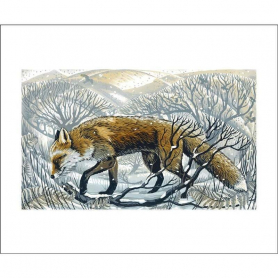 Winter Fox