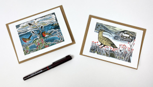 PACK Curlew Robins And Teasels