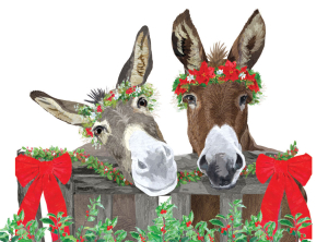 BOX REC Donkey Christmas