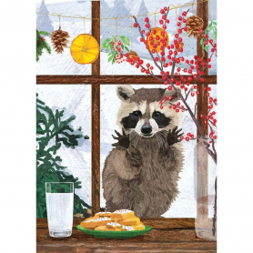 Raccoon In Window