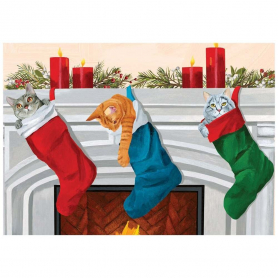 Stocking Cats