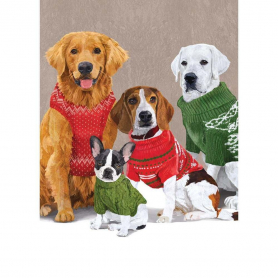 Dogs In Sweaters