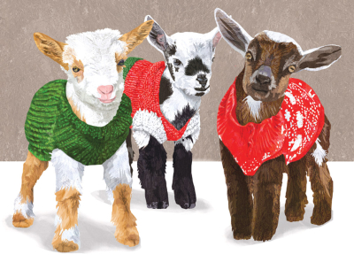 Goats In Sweaters