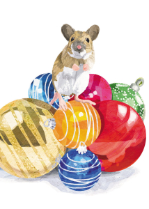 BOX REC Mouse Night Before Christmas