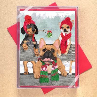 BOX REC Winter Woofs