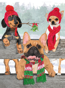 BOX REC Winter Woofs