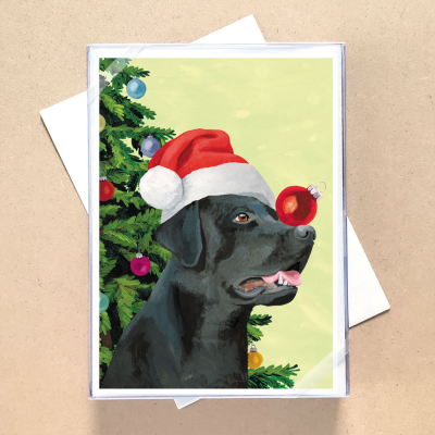 BOX REC Doggy Decorating