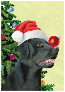 BOX REC Doggy Decorating