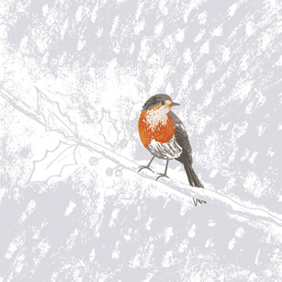 Robin On Holly Branch