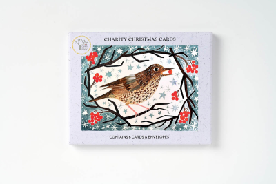 BOX REC Song Thrush With Berries