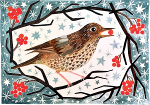 BOX REC Song Thrush With Berries