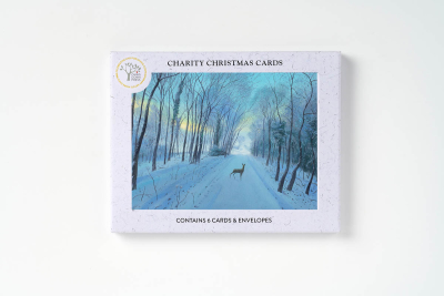 BOX REC Snow In The Morning Near Everley Hill