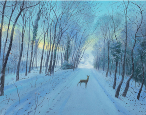 BOX REC Snow In The Morning Near Everley Hill