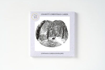 BOX SML SQ Beyond The Clearing