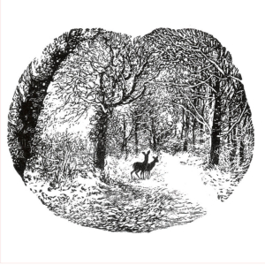 BOX SML SQ Beyond The Clearing