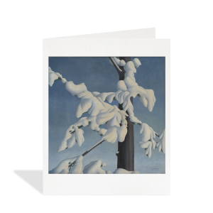 BOX Assorted AGO Artist Series