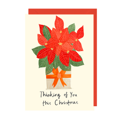 Thinking Of You Poinsettia