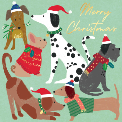 Merry Christmas Dogs