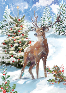 BOX REC Winter Wildlife Big Value