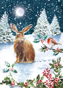 BOX REC Winter Wildlife Big Value