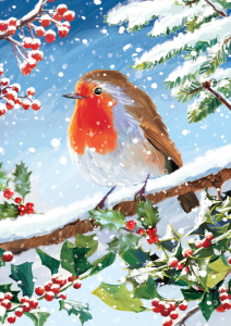 BOX REC Winter Wildlife Big Value