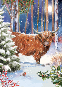 BOX REC Winter Wildlife Big Value