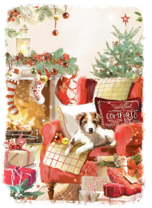 BOX REC Cosy Christmas Big Value