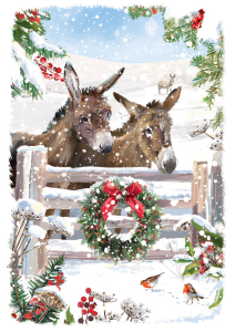 BOX REC Christmas At Home Big Value