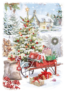 BOX REC Christmas At Home Big Value