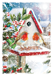 BOX REC Christmas At Home Big Value