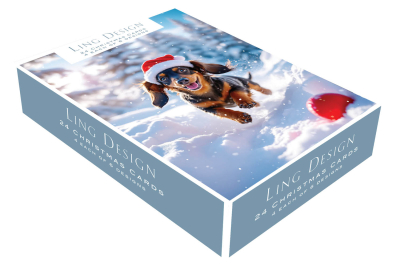 BOX REC Christmas Animals Big Value