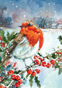 BOX REC Snowy Christmas Big Value