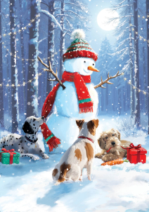 BOX REC Classic Christmas Big Value