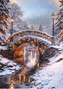 BOX REC Christmas Collection Big Value