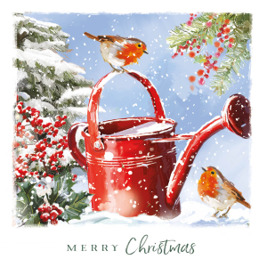 BOX MED SQ Robins At Christmas Time Deluxe