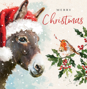 BOX MED SQ Christmas Animals Collection Deluxe