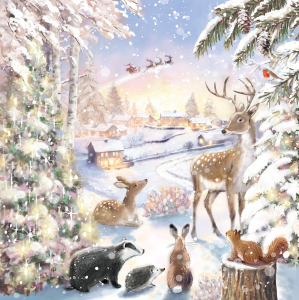 BOX MED SQ Christmas Nature And Winter Beauty Deluxe