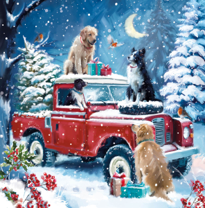 BOX LRG SQ Christmas Animal Collection Deluxe