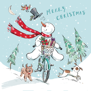 BOX SML SQ Fun Christmas Bumper