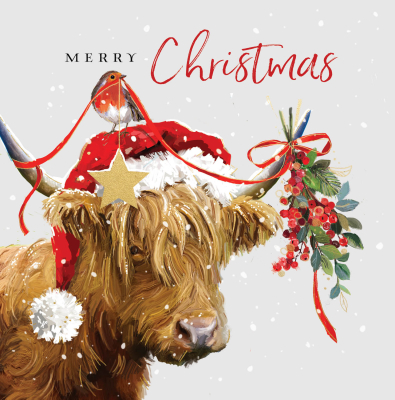 BOX LRG SQ Highland Cow And Robin Christmas Greeting Premium