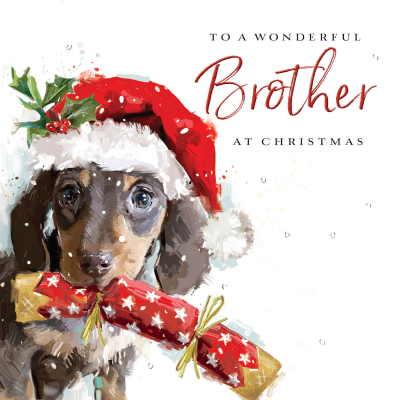 Brother Dachshund Christmas