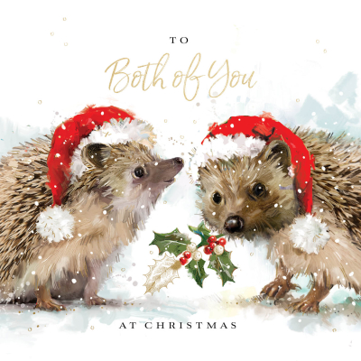 To Both of You Porcupines