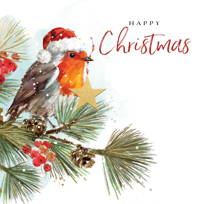 Happy Christmas Bird