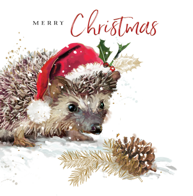 Merry Christmas Porcupine In Santa Hat